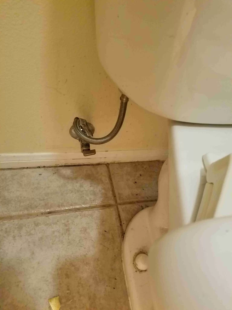 Toilet Leaks San Marcos