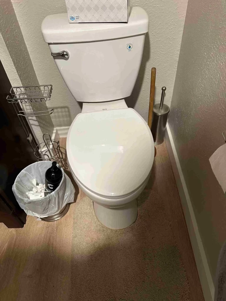 Toilet Leaks In Escondido