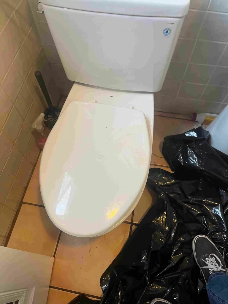 Toilet Leaks In Chula Vista